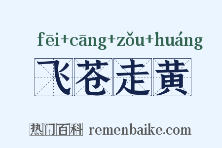 飞苍走黄是什么意思的图片